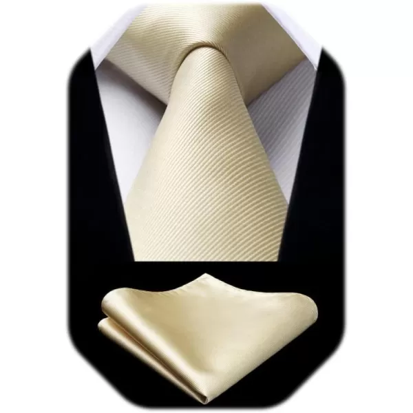 HISDERN Mens Ties Handkerchief Solid Color Ties for Men Necktie with Pocket Square Set for Classic Wedding