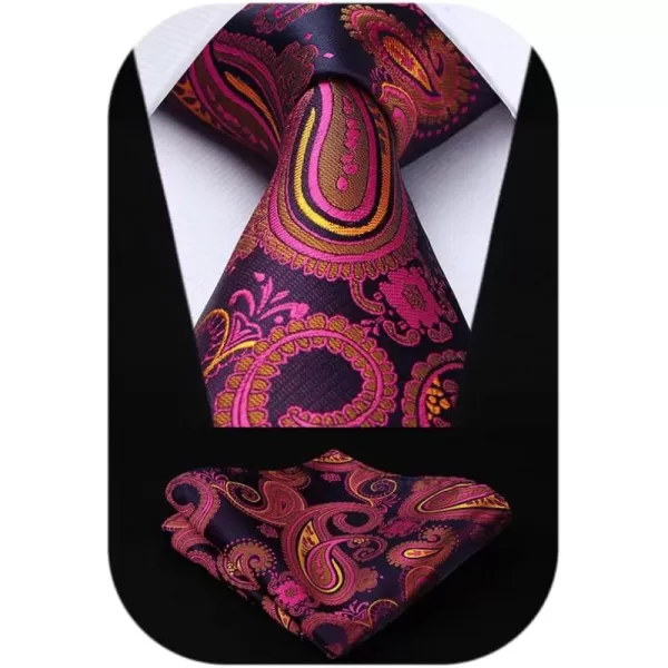 HISDERN Mens Ties Paisley Tie and Pocket Square Woven Classic Floral Mens Necktie Handkerchief Set for Wedding Party