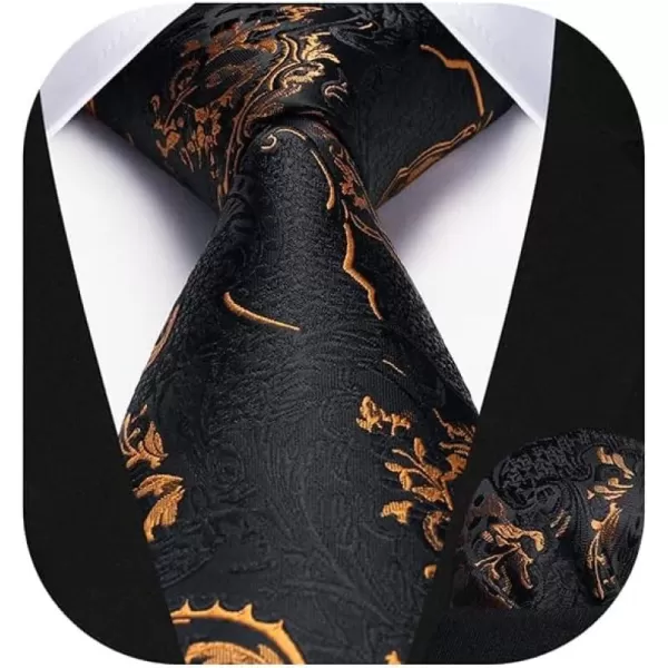 HISDERN Mens Ties Paisley Tie and Pocket Square Woven Classic Floral Mens Necktie Handkerchief Set for Wedding Party
