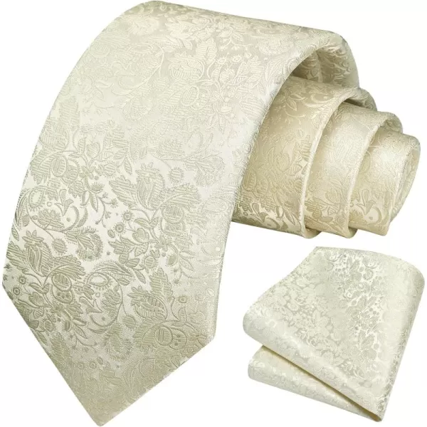 HISDERN Mens Ties Paisley Tie and Pocket Square Woven Classic Floral Mens Necktie Handkerchief Set for Wedding Party