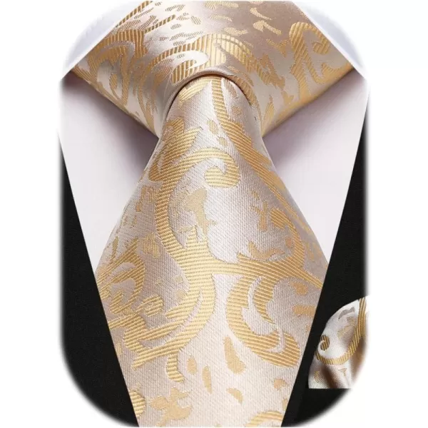 HISDERN Mens Ties Paisley Tie and Pocket Square Woven Classic Floral Mens Necktie Handkerchief Set for Wedding Party