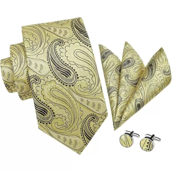 HISDERN Mens Ties Paisley Ties for Men Business Formal Woven Neckties and Pocket Square Cufflinks Set Wedding