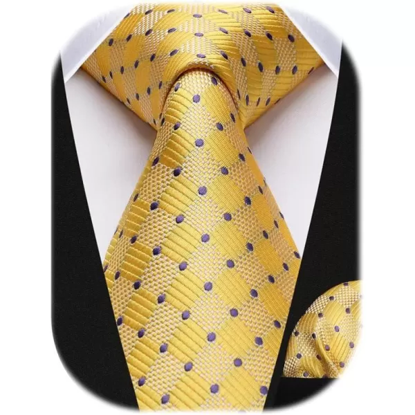 HISDERN Mens Ties Plaid Tie and Pocket Square Set Classic Woven Formal Checkered Neckties &amp; Handkerchief Wedding Party