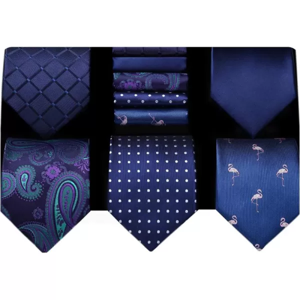 HISDERN Mens Ties Set 5PCS Collection Tie and Pocket Sqaure Formal Business Neckties Gift Box Wedding Necktie for Men