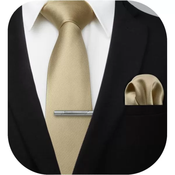 HISDERN Mens Ties Solid Color Wedding Ties and Pocket Square Neckties Clip Sets Business Formal Satin Ties for Men