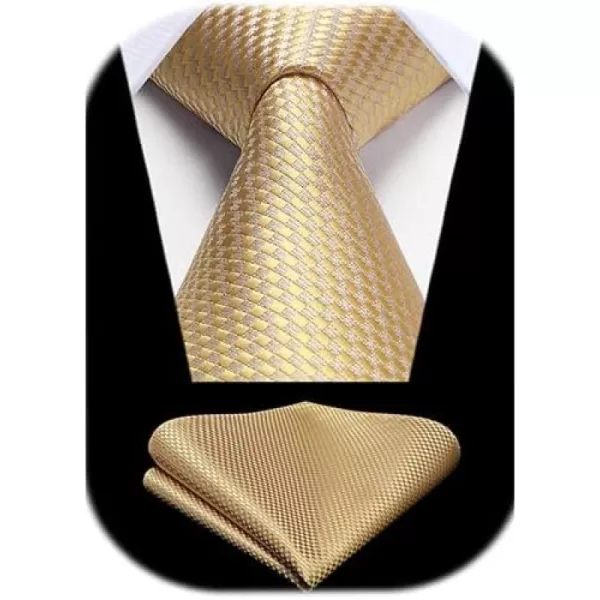 HISDERN Mens Ties Striped Ties for Men Formal Tie and Pocket Square Set Necktie for Wedding Business Graduation