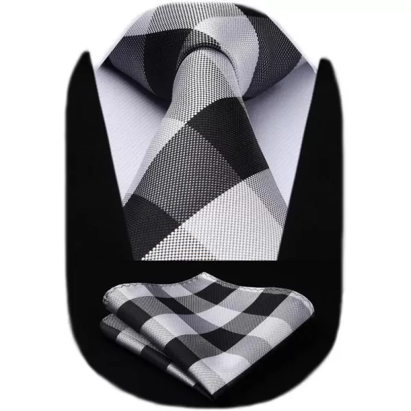 HISDERN Mens Ties for Men Formal Tie with Pocket Square Set Tie Handkerchief Necktie for Men Wedding Party Business