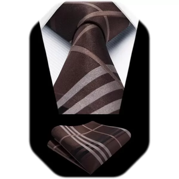 HISDERN Mens Ties for Men Formal Tie with Pocket Square Set Tie Handkerchief Necktie for Men Wedding Party Business