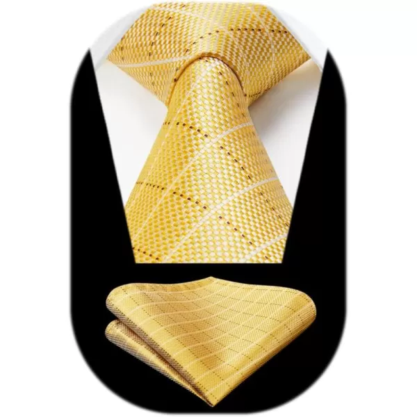 HISDERN Mens Ties for Men Formal Tie with Pocket Square Set Tie Handkerchief Necktie for Men Wedding Party Business