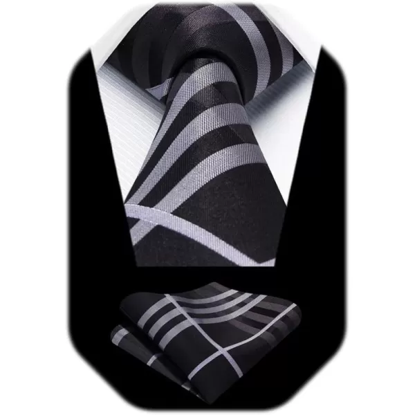 HISDERN Mens Ties for Men Formal Tie with Pocket Square Set Tie Handkerchief Necktie for Men Wedding Party Business