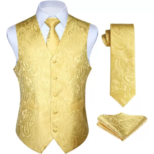 HISDERN Men's Vest Tie Set Paisley Floral Jacquard Necktie Pocket Square 3PCS Waistcoat for Suit or Tuxedo Wedding Party