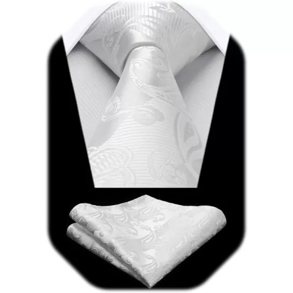 HISDERN Paisley Ties for Men Solid Color Tie Handkerchief Floral Mens Ties and Pocket Square Set Wedding Classic Necktie
