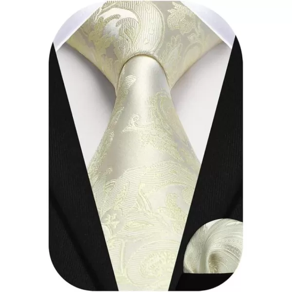 HISDERN Paisley Ties for Men Solid Color Tie Handkerchief Floral Mens Ties and Pocket Square Set Wedding Classic Necktie