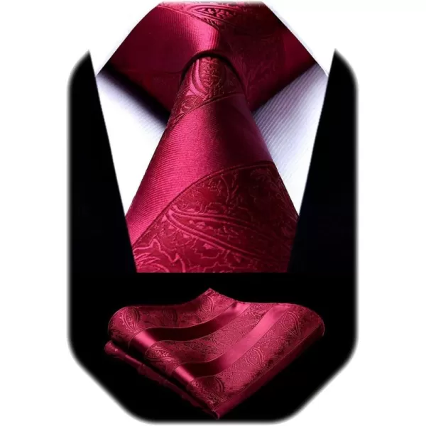 HISDERN Paisley Ties for Men Solid Color Tie Handkerchief Floral Mens Ties and Pocket Square Set Wedding Classic Necktie