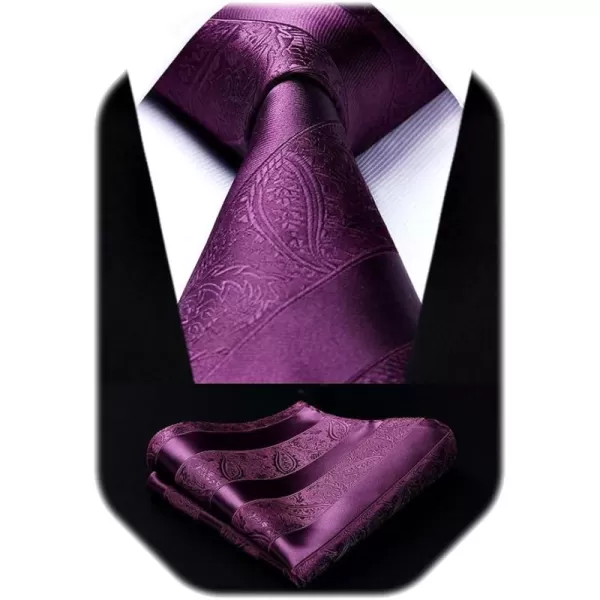 HISDERN Paisley Ties for Men Solid Color Tie Handkerchief Floral Mens Ties and Pocket Square Set Wedding Classic Necktie