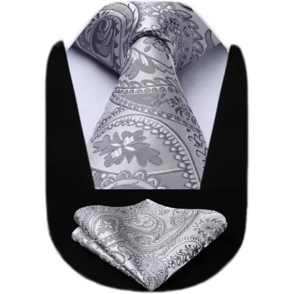 HISDERN Paisley Ties for Men Solid Color Tie Handkerchief Floral Mens Ties and Pocket Square Set Wedding Classic Necktie