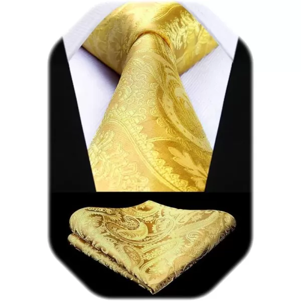 HISDERN Paisley Ties for Men Solid Tie Handkerchief Floral Men's Necktie &amp; Pocket Square Set Wedding Classic Mens Ties