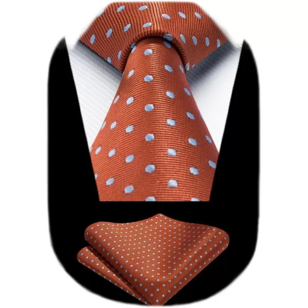 HISDERN Polka Dot Ties for Men Handkerchief Woven Classic Silk Mens Ties and Pocket Square Set Wedding Business