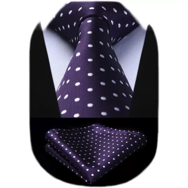 HISDERN Polka Dot Ties for Men Handkerchief Woven Classic Silk Mens Ties and Pocket Square Set Wedding Business