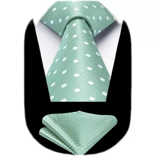 HISDERN Polka Dot Ties for Men Handkerchief Woven Classic Silk Mens Ties and Pocket Square Set Wedding Business