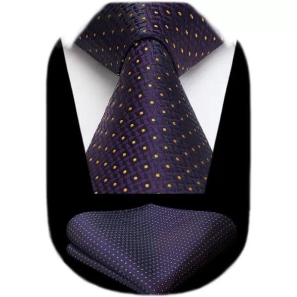 HISDERN Polka Dot Ties for Men Handkerchief Woven Classic Silk Mens Ties and Pocket Square Set Wedding Business