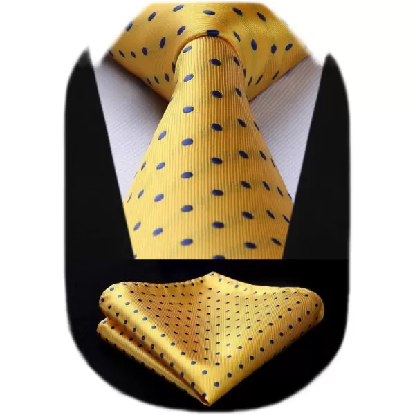 HISDERN Polka Dot Ties for Men Handkerchief Woven Classic Silk Mens Ties and Pocket Square Set Wedding Business