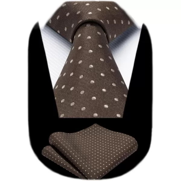 HISDERN Polka Dot Ties for Men Handkerchief Woven Classic Silk Mens Ties and Pocket Square Set Wedding Business