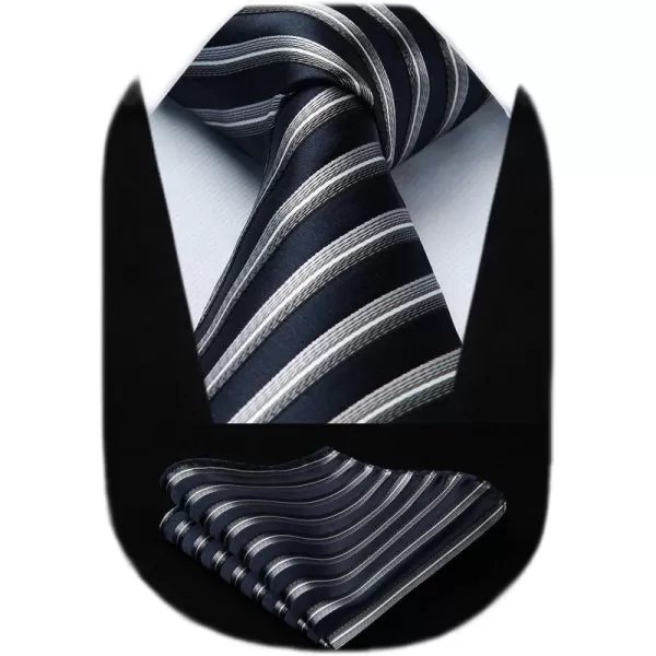 A-01-navy & Silver