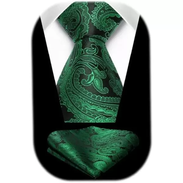 HISDERN Ties for Men Paisley Floral Tie Handkerchief Classic Woven Business Formal Necktie and Pocket Square Set Wedding