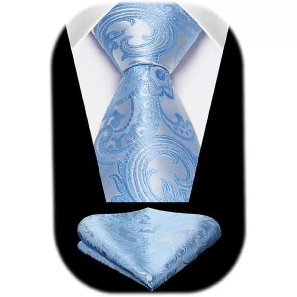 HISDERN Ties for Men Paisley Floral Tie Handkerchief Classic Woven Business Formal Necktie and Pocket Square Set Wedding