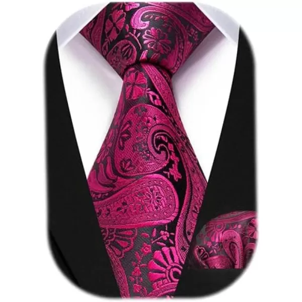 HISDERN Ties for Men Paisley Floral Tie Handkerchief Classic Woven Business Formal Necktie and Pocket Square Set Wedding