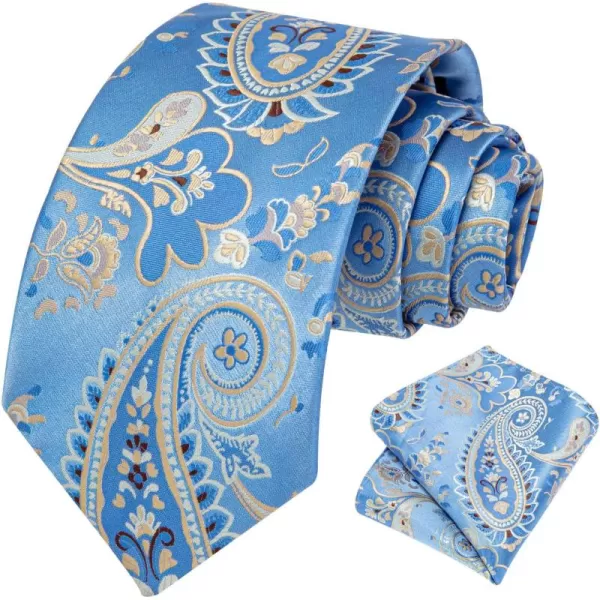 HISDERN Ties for Men Paisley Floral Tie Handkerchief Classic Woven Business Formal Necktie and Pocket Square Set Wedding