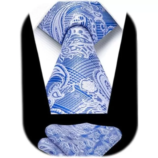 HISDERN Ties for Men Paisley Floral Tie Handkerchief Classic Woven Business Formal Necktie and Pocket Square Set Wedding