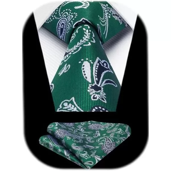 HISDERN Ties for Men Paisley Floral Tie Handkerchief Classic Woven Business Formal Necktie and Pocket Square Set Wedding
