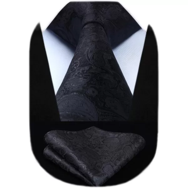 HISDERN Ties for Men Paisley Floral Tie Handkerchief Classic Woven Business Formal Necktie and Pocket Square Set Wedding