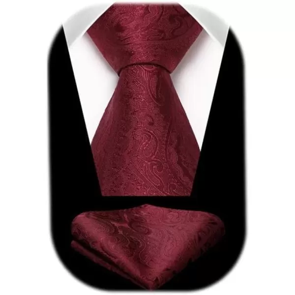 HISDERN Ties for Men Paisley Floral Tie Handkerchief Classic Woven Business Formal Necktie and Pocket Square Set Wedding