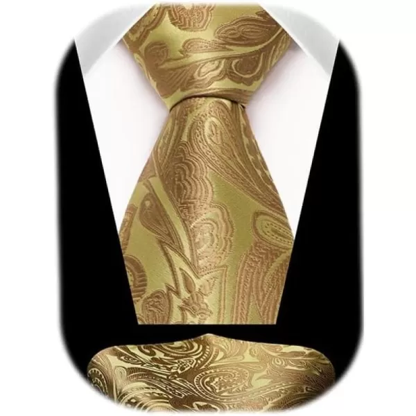 HISDERN Ties for Men Paisley Floral Tie Handkerchief Classic Woven Business Formal Necktie and Pocket Square Set Wedding
