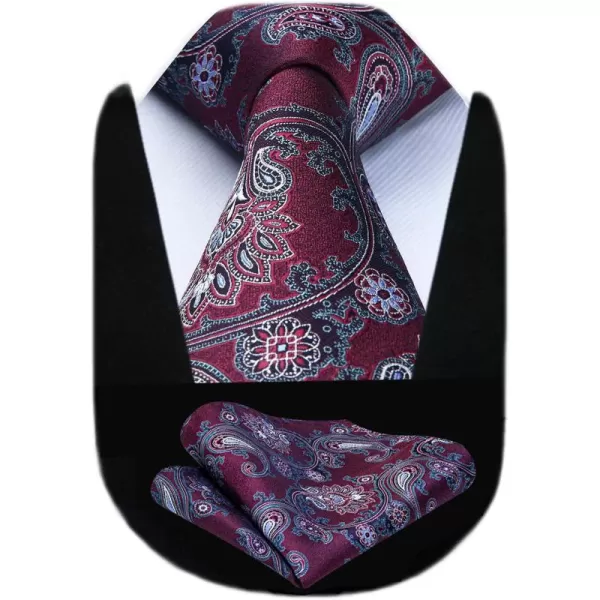 HISDERN Ties for Men Paisley Floral Tie Handkerchief Classic Woven Business Formal Necktie and Pocket Square Set Wedding