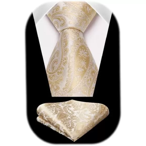 HISDERN Ties for Men Paisley Floral Tie Handkerchief Classic Woven Business Formal Necktie and Pocket Square Set Wedding