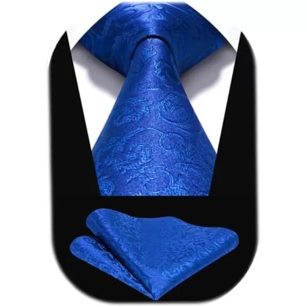 HISDERN Ties for Men Paisley Floral Tie Handkerchief Classic Woven Business Formal Necktie and Pocket Square Set Wedding