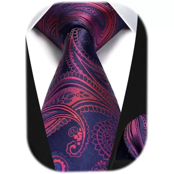 HISDERN Ties for Men Paisley Floral Tie Handkerchief Classic Woven Business Formal Necktie and Pocket Square Set Wedding
