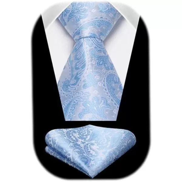HISDERN Ties for Men Paisley Floral Tie Handkerchief Classic Woven Business Formal Necktie and Pocket Square Set Wedding