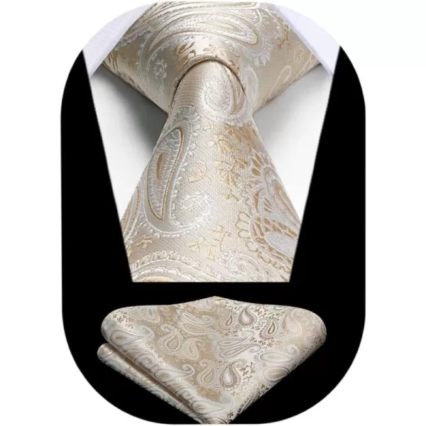 HISDERN Ties for Men Paisley Floral Tie Handkerchief Classic Woven Business Formal Necktie and Pocket Square Set Wedding