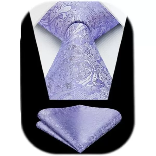 HISDERN Ties for Men Paisley Floral Tie Handkerchief Classic Woven Business Formal Necktie and Pocket Square Set Wedding