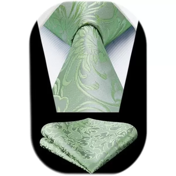 HISDERN Ties for Men Paisley Floral Tie Handkerchief Classic Woven Business Formal Necktie and Pocket Square Set Wedding