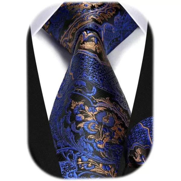 HISDERN Ties for Men Paisley Floral Tie Handkerchief Classic Woven Business Formal Necktie and Pocket Square Set Wedding