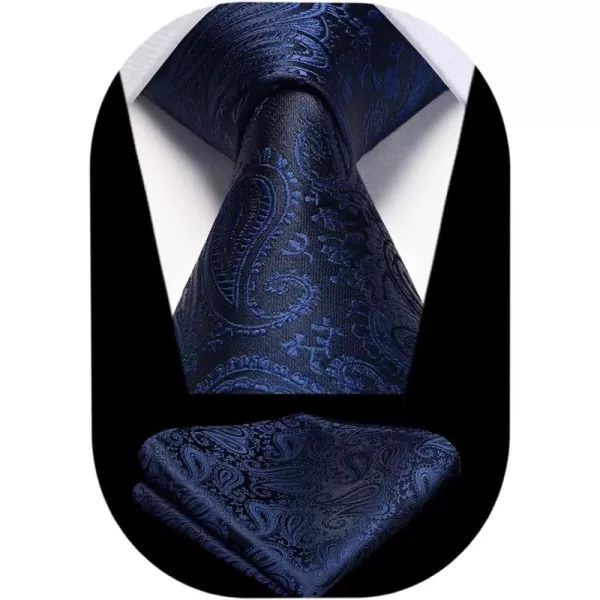 HISDERN Ties for Men Paisley Floral Tie Handkerchief Classic Woven Business Formal Necktie and Pocket Square Set Wedding