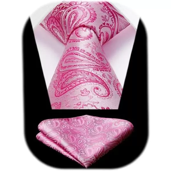 HISDERN Ties for Men Paisley Floral Tie Handkerchief Classic Woven Business Formal Necktie and Pocket Square Set Wedding