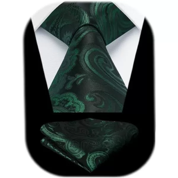 HISDERN Ties for Men Paisley Floral Tie Handkerchief Classic Woven Business Formal Necktie and Pocket Square Set Wedding