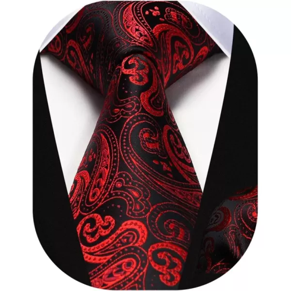 HISDERN Ties for Men Paisley Floral Tie Handkerchief Classic Woven Business Formal Necktie and Pocket Square Set Wedding